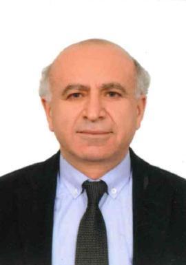 GÖKHAN AKDEMİR
